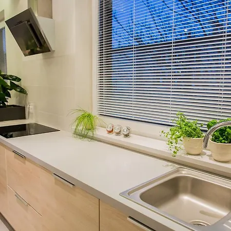 Mojito - Botanica Breslavia