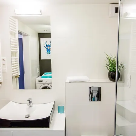 Mojito - Botanica Breslavia