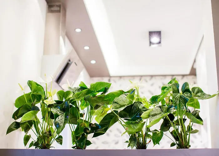 Mojito - Botanica Apartamento