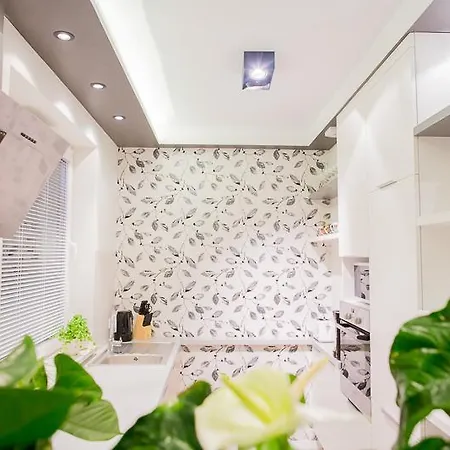 Mojito - Botanica Appartement Wrocław