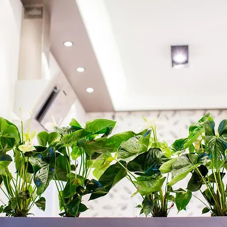 Mojito - Botanica Appartement