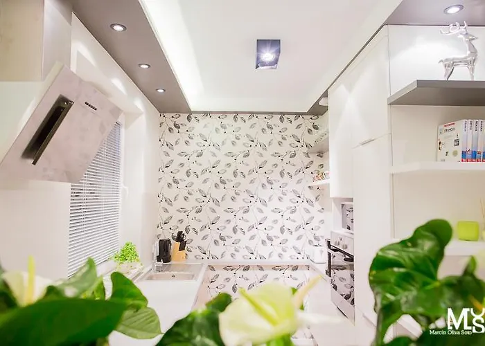 Mojito - Botanica Apartament Wrocław