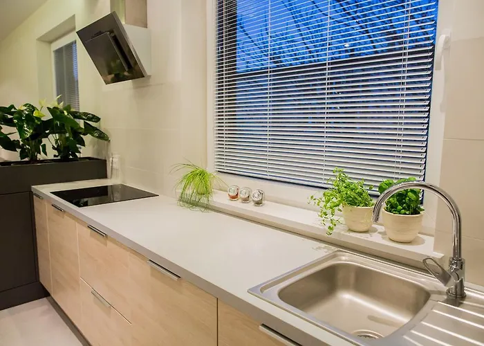 Mojito - Botanica Wrocław